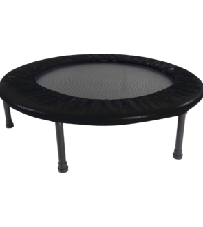 031212_trampoline_1m.jpg